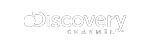 disc